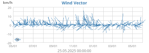 Wind Vector